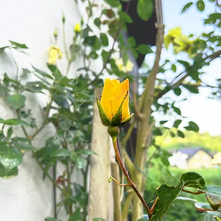 Landhaus-villa, Sauna, Private Garten Villa