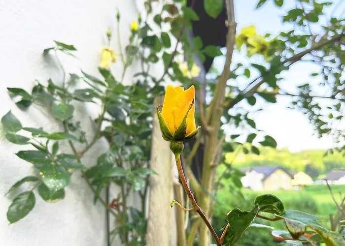 Landhaus-villa, Sauna, Private Garten Villa